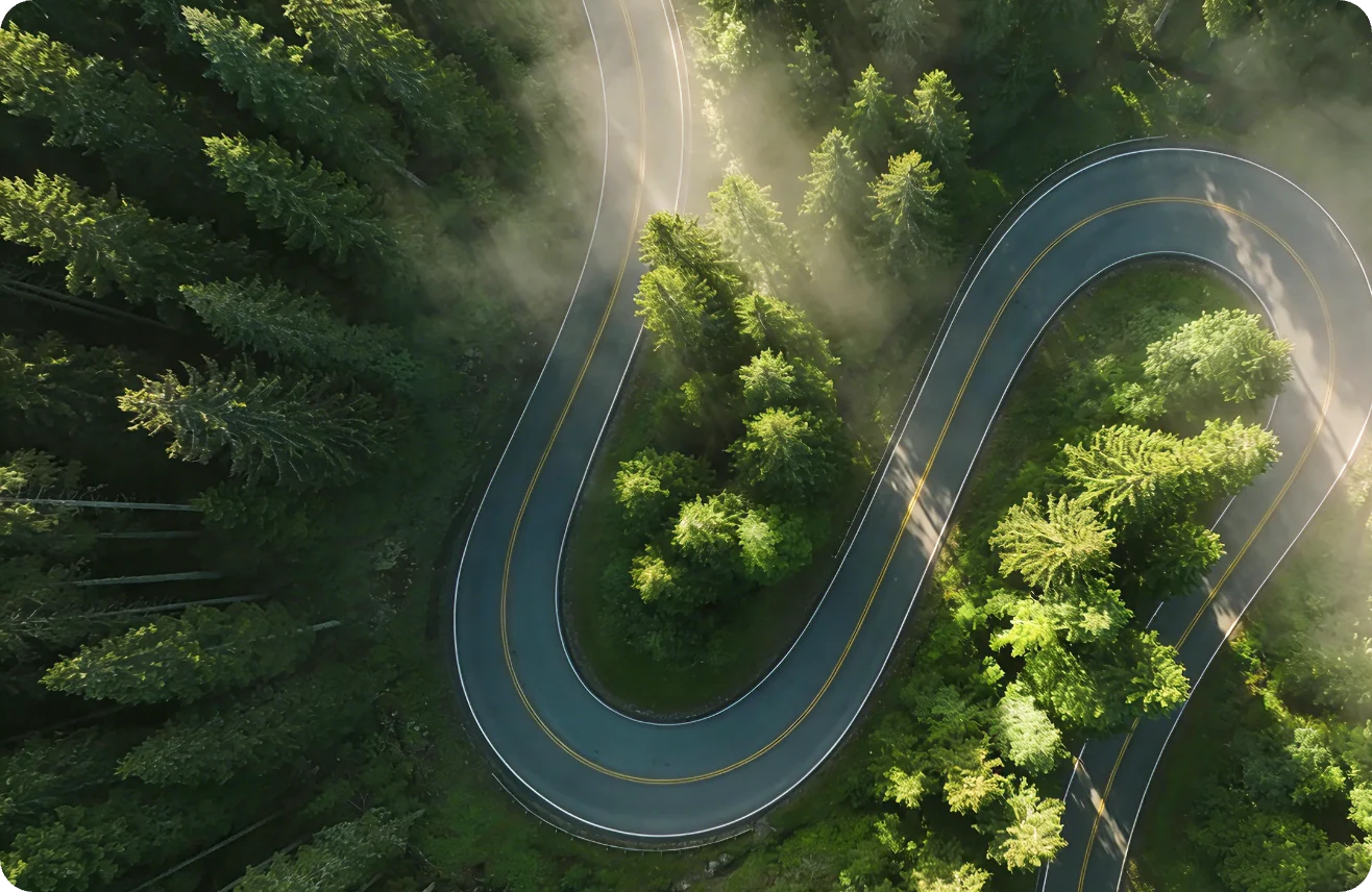 A winding road moving through a dense green forest